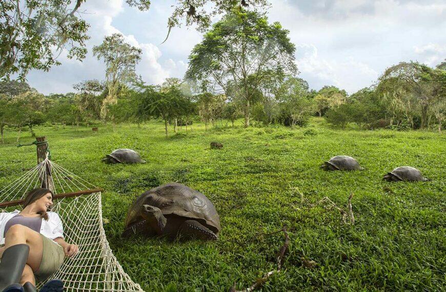Galapagos luxury travel