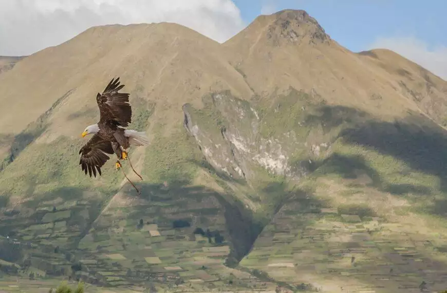 Travel Guide Otavalo Ecuador