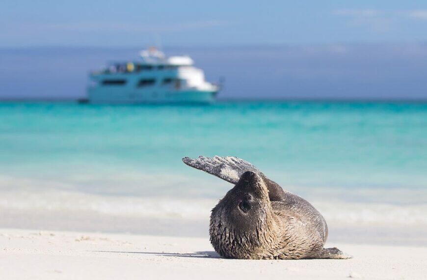 Suarez point Galapagos Cruises