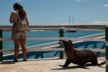 galapagos islands travel safety
