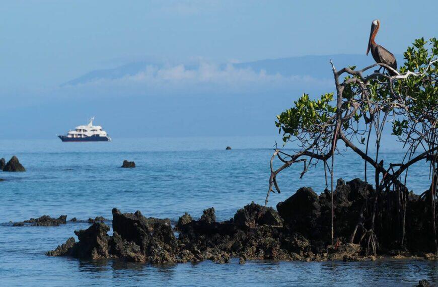 Galapagos Elizabeth Bay