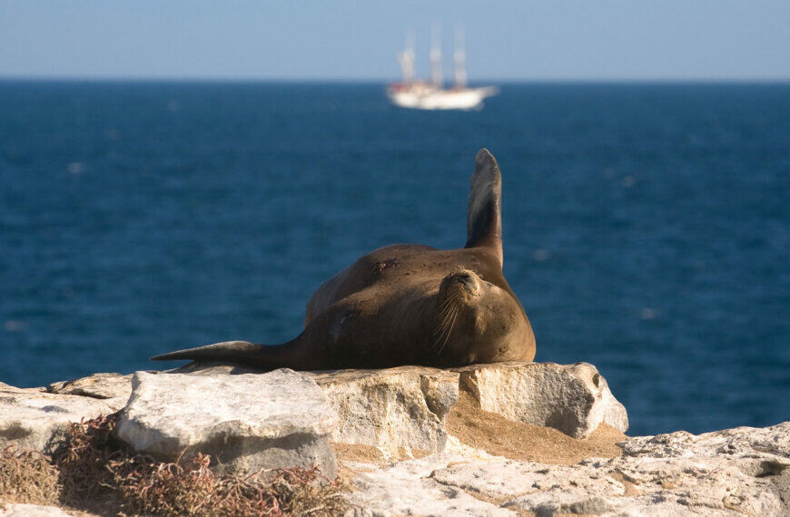Best Galapagos Ships