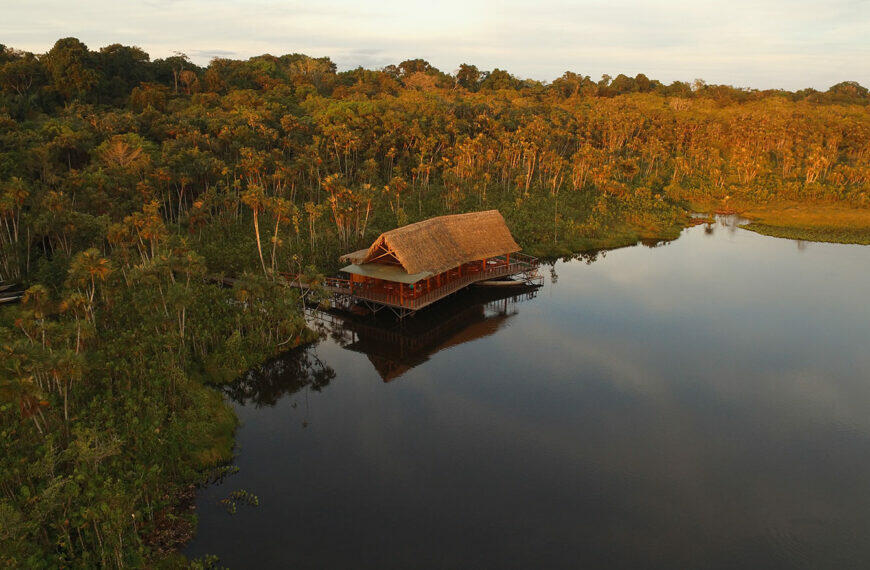 Rainforest luxury lodges