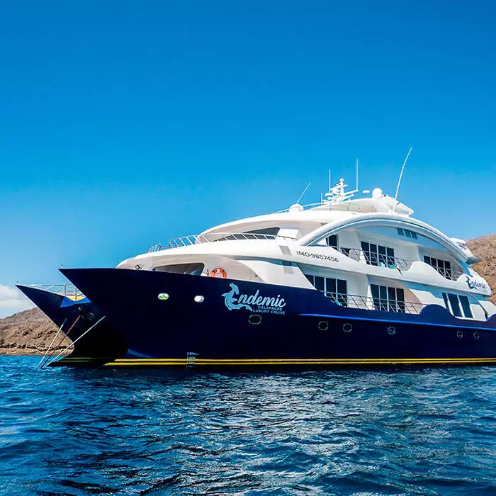 Endemic Cruise