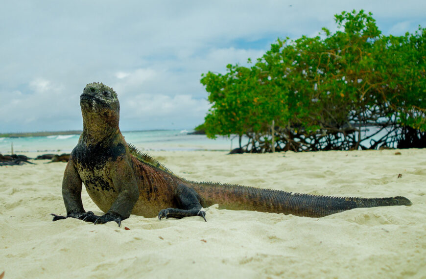 Galapagos hotel tours