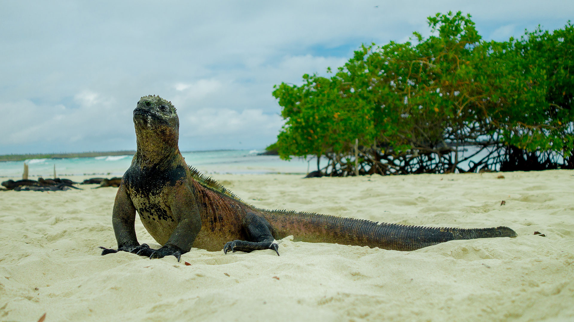 Galapagos hotel tours