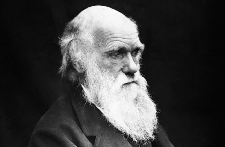 Darwin Portrait