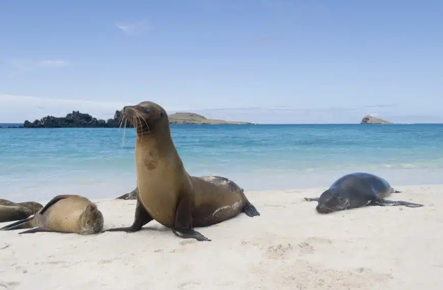Galapagos best beaches