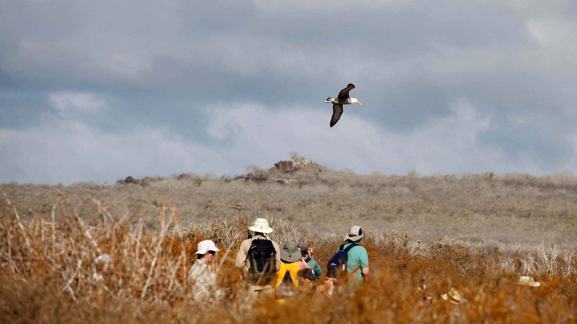 Family with kids enjoying the Galapagos