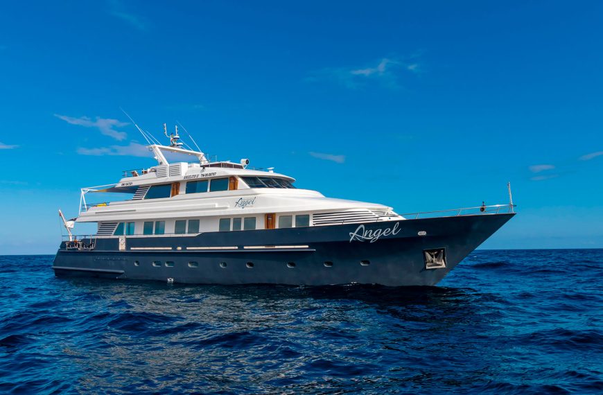 Galapagos Angel Cruise tours