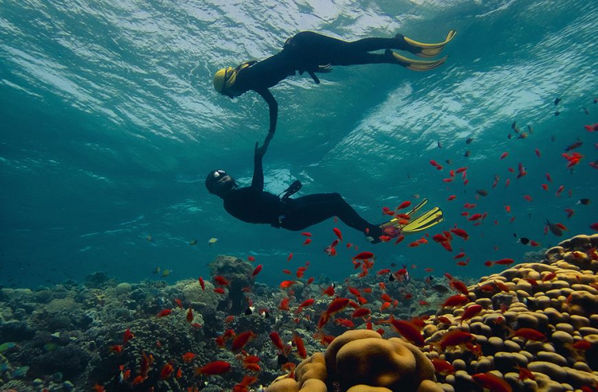 Galapagos island trip