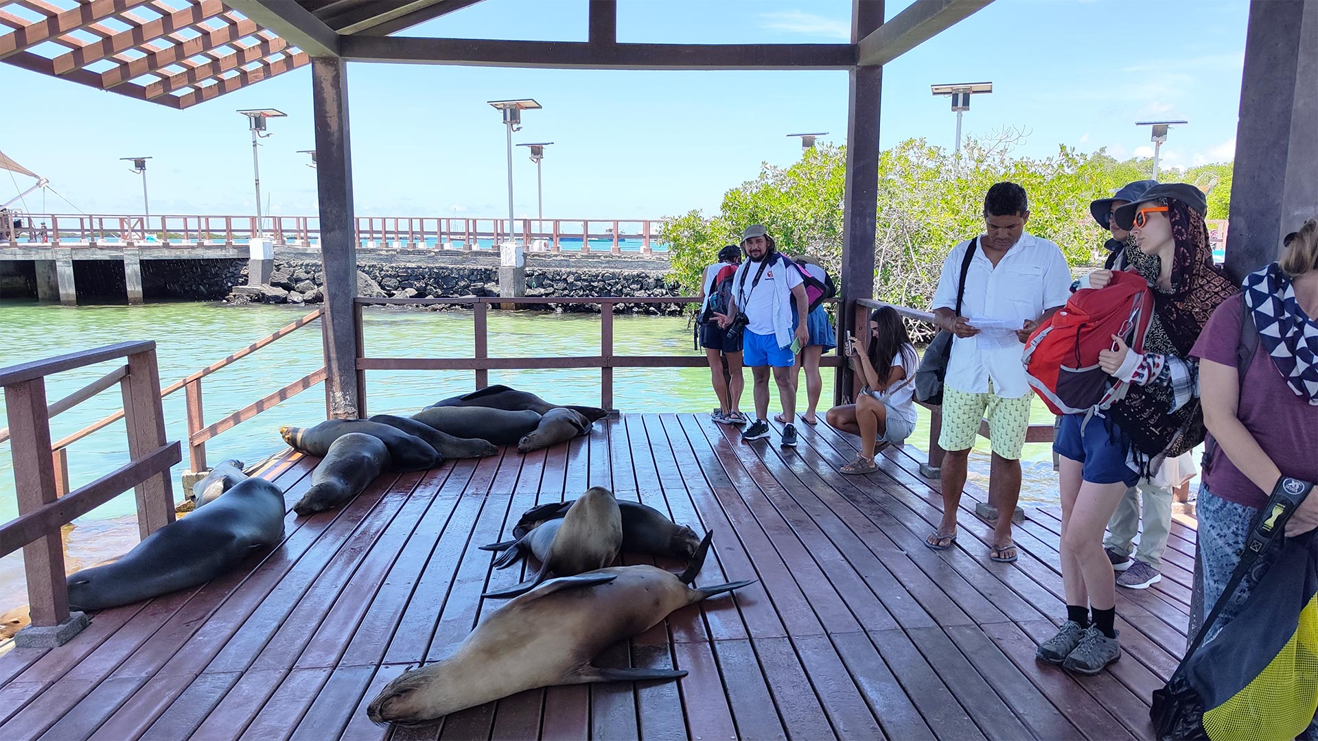 Galapagos trips for families