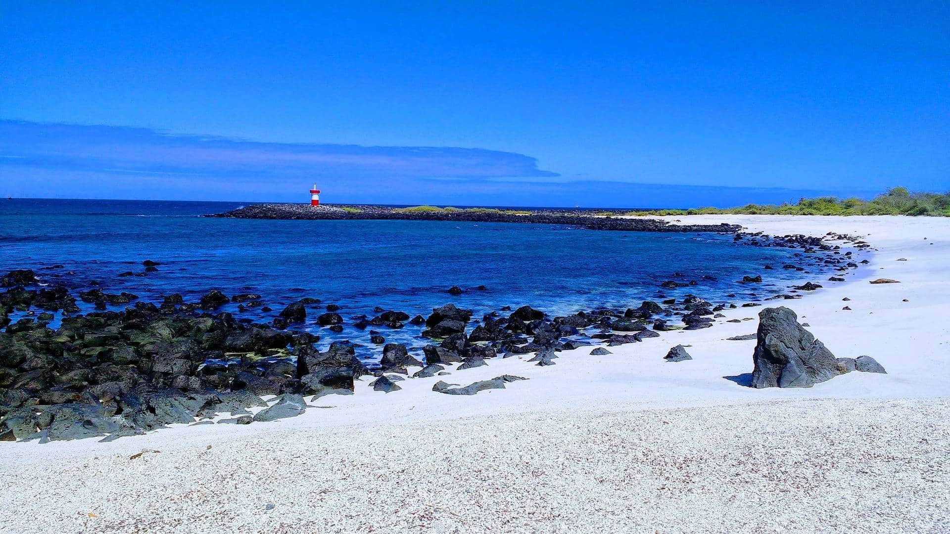 Galapagos Islands Trips