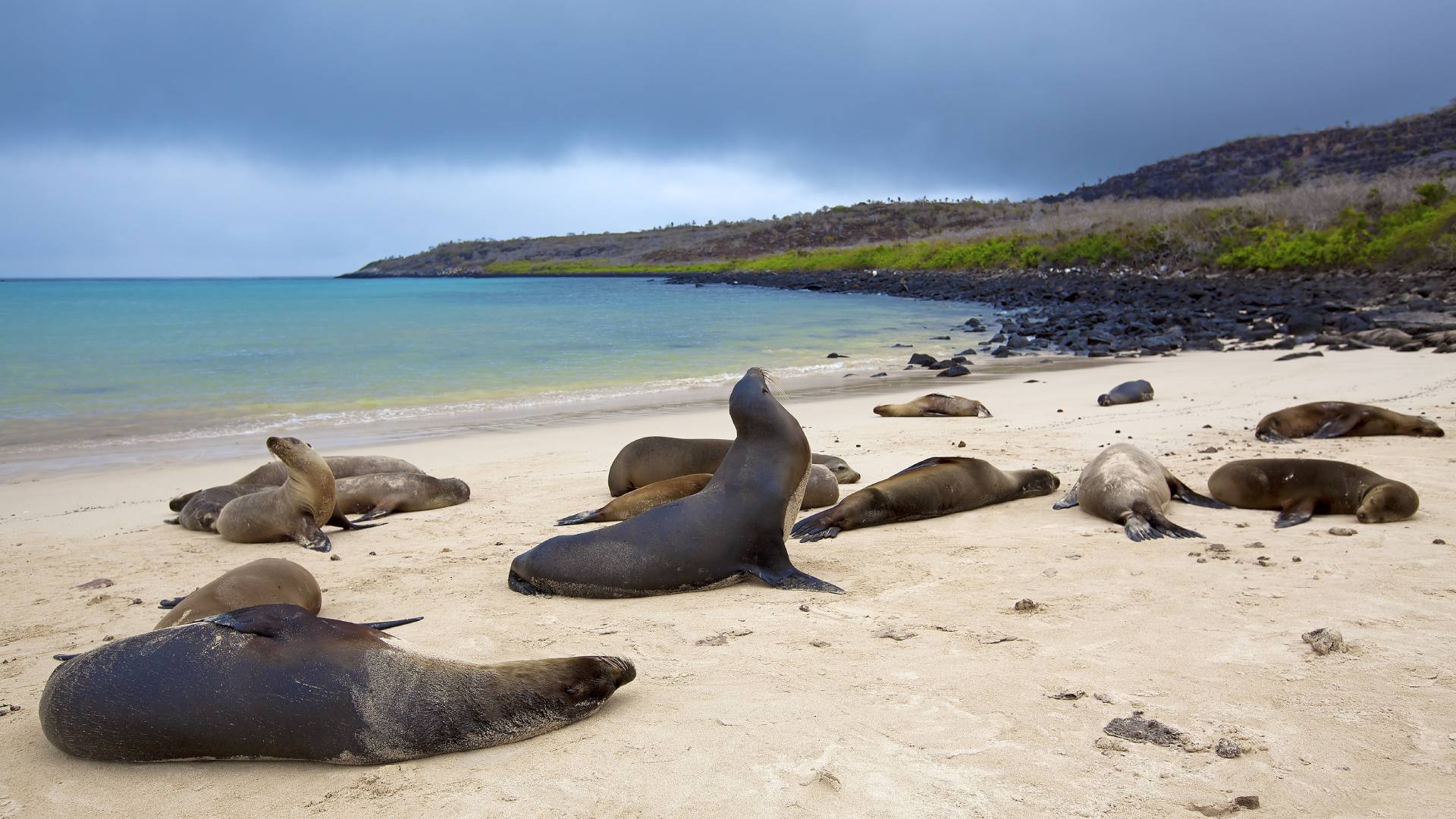 Seasickness in Galapagos