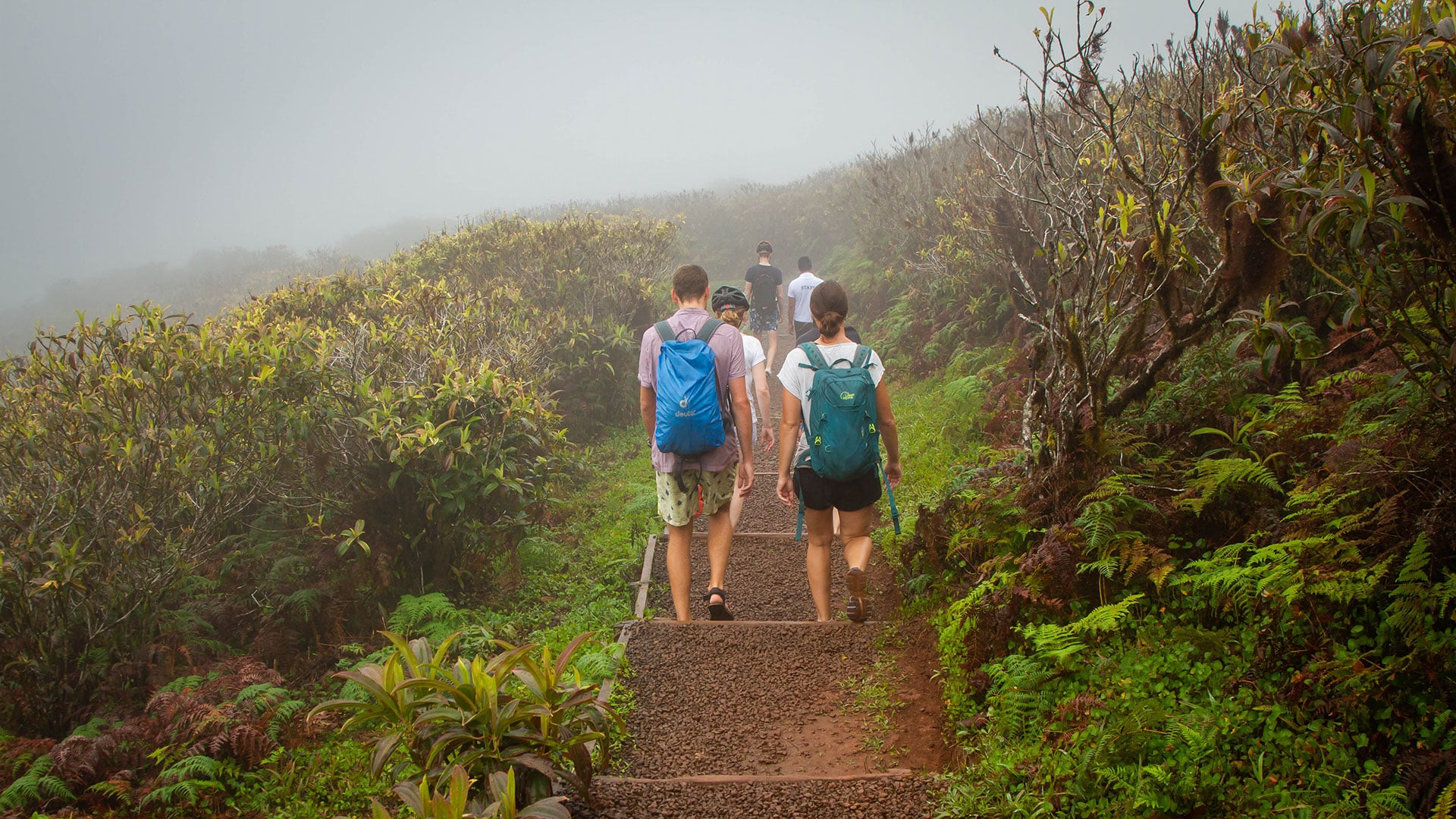 Galapagos islands visits with tourists