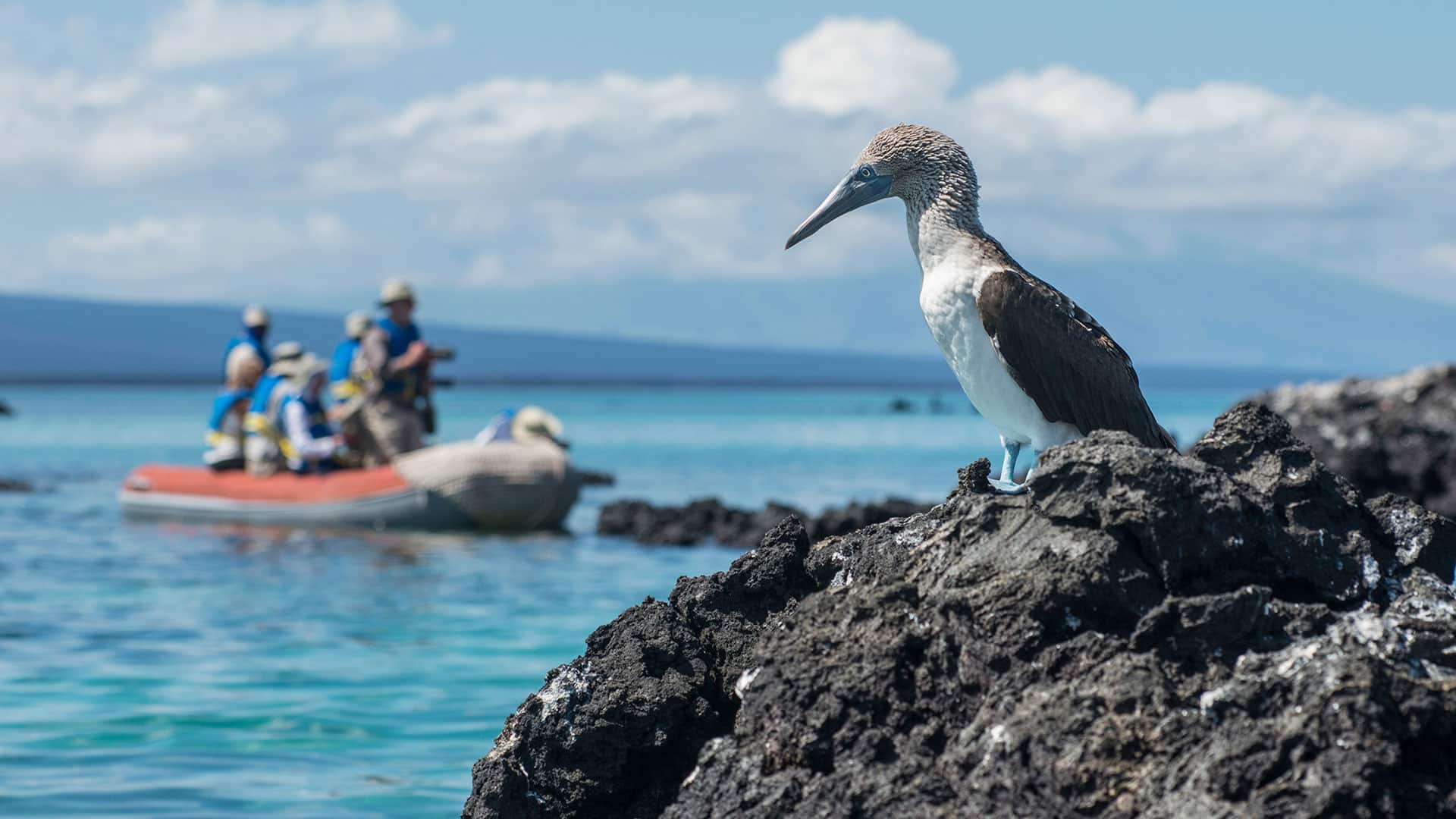 Galapagos islands cruise