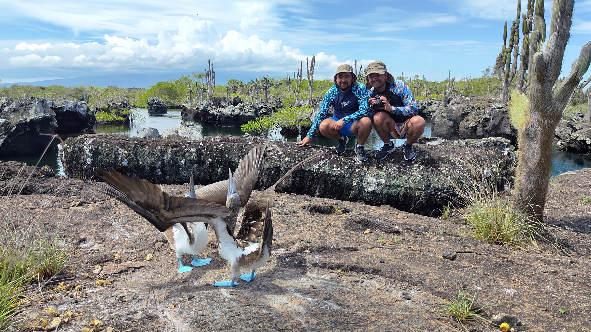 Galapagos islands cruises