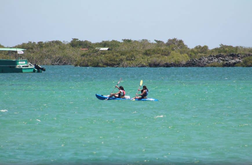 Family Kayaking in the Galapagos Islands