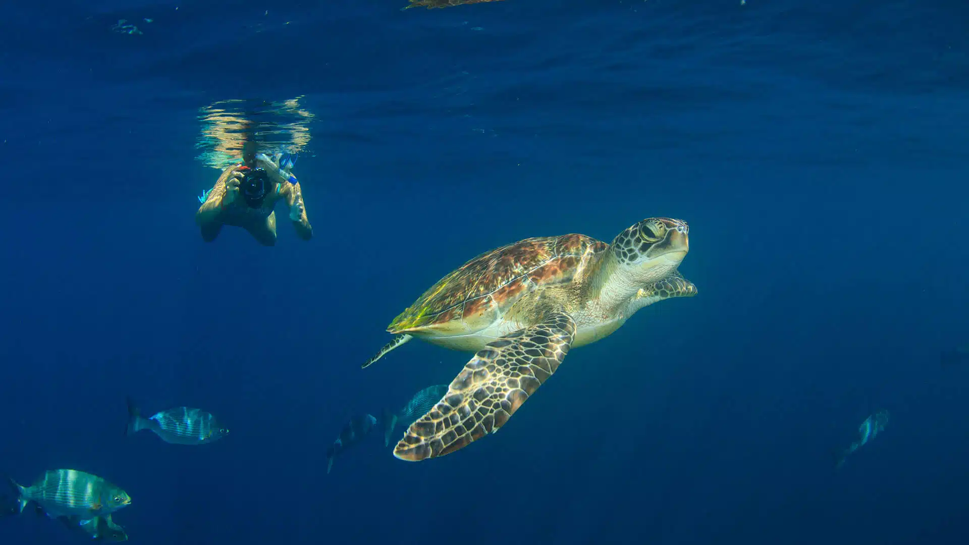 swimmers kids in galapagps--