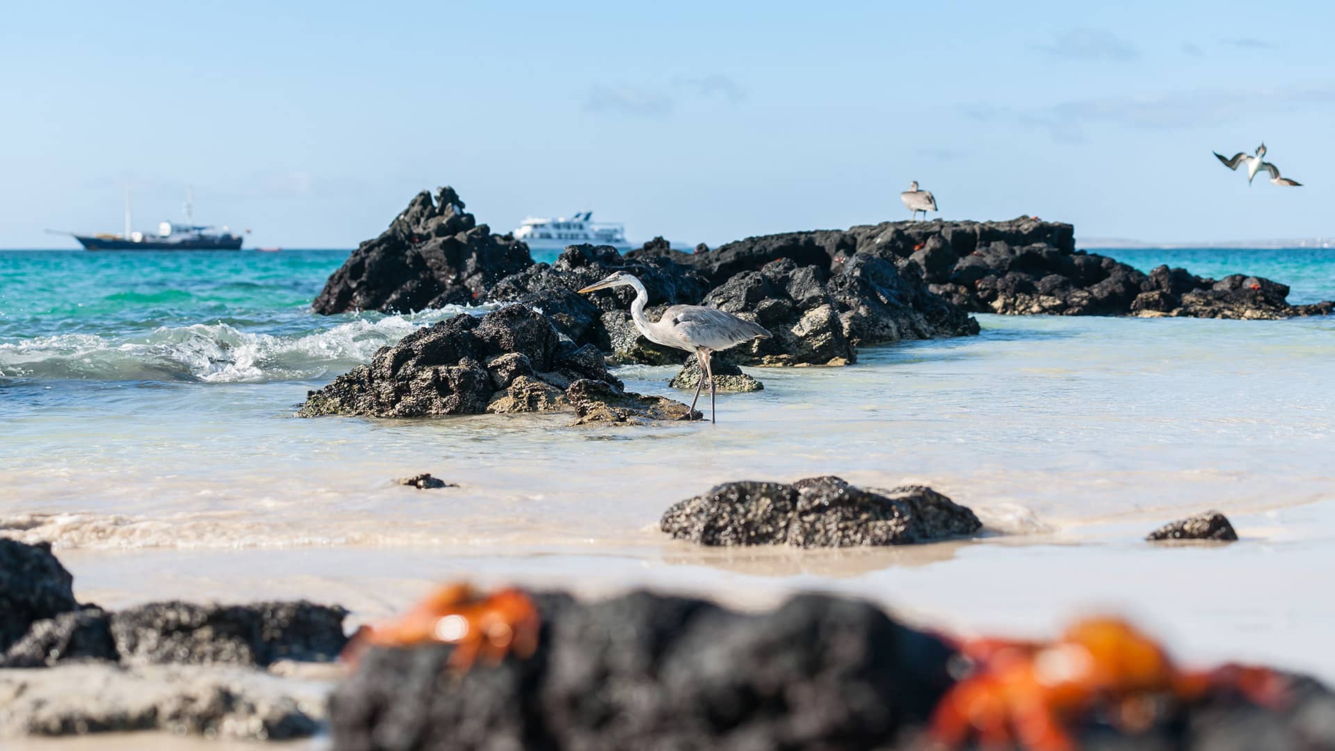 Galapagos islands real costs