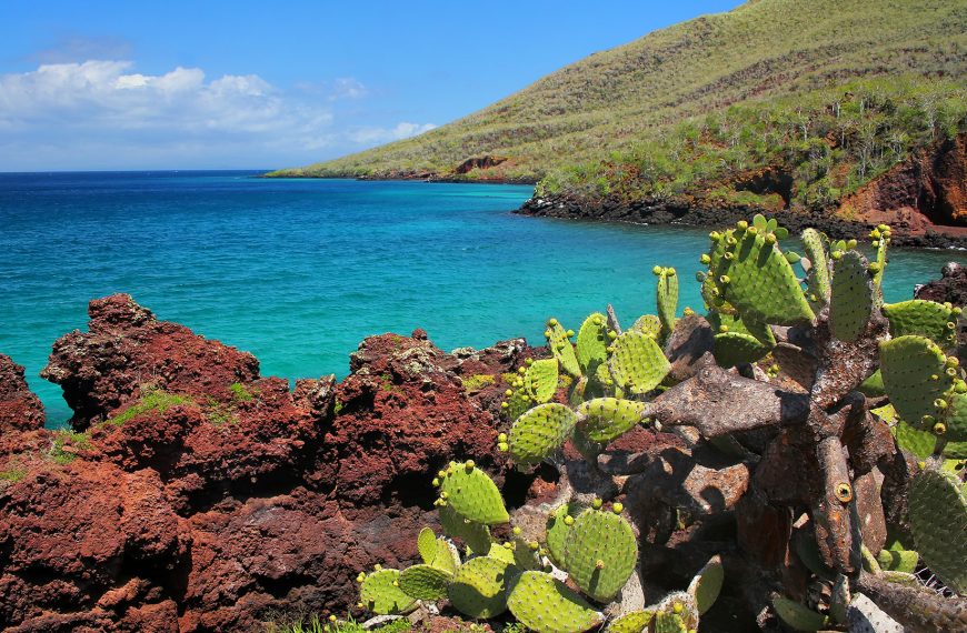 Galapagos cruises in January