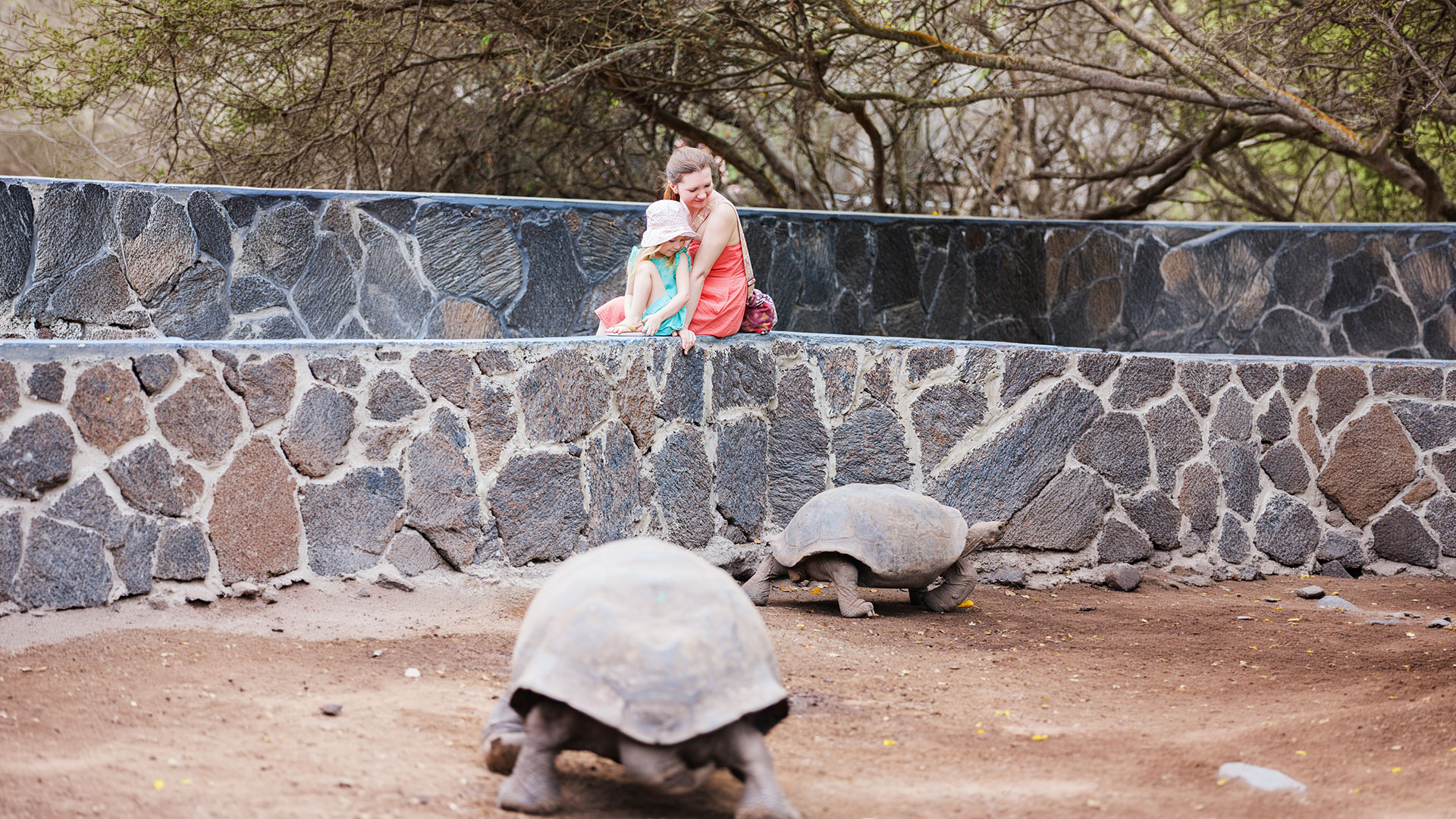 Cruise in the Galapagos islands