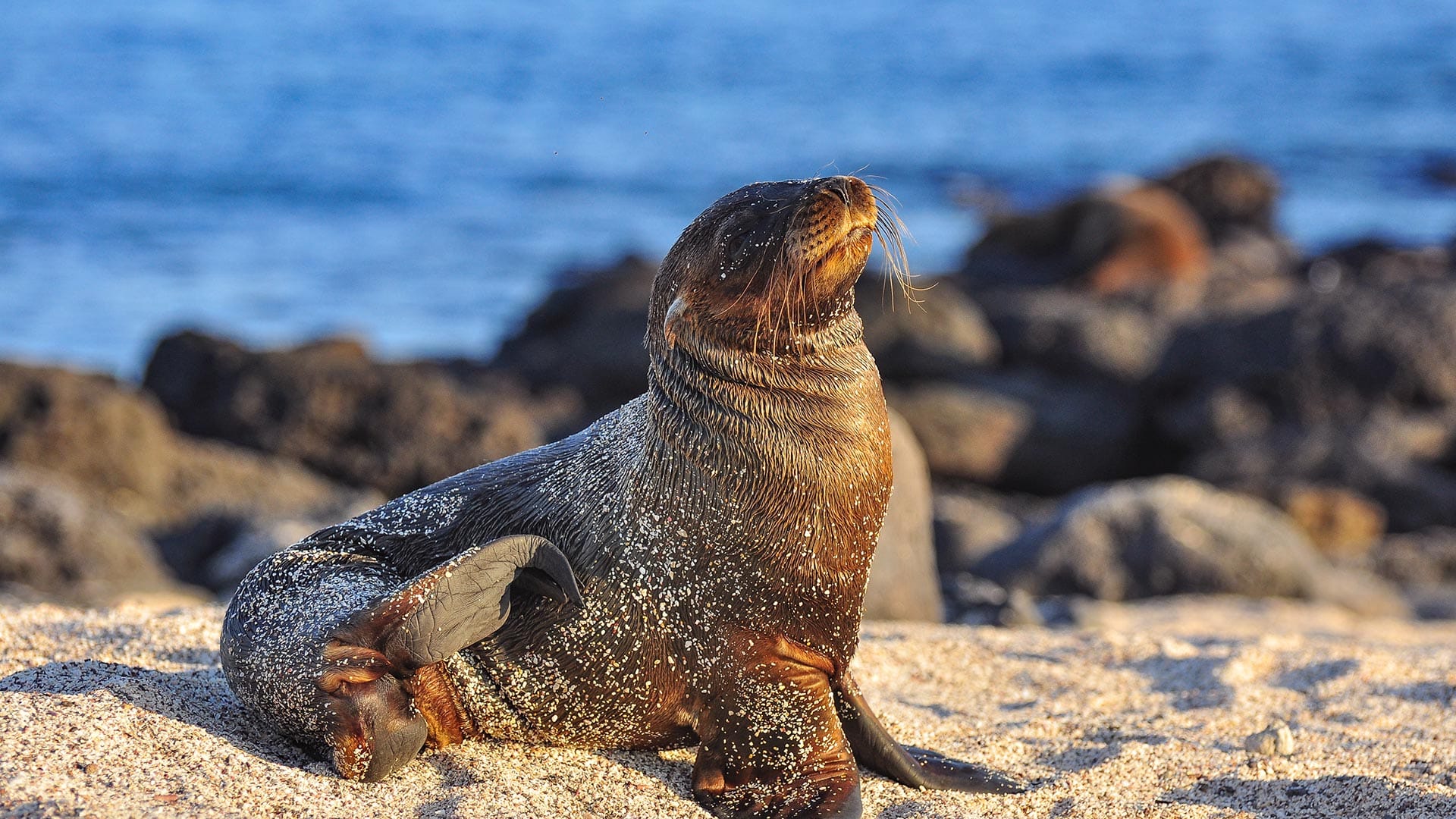 Galapagos cruises for families