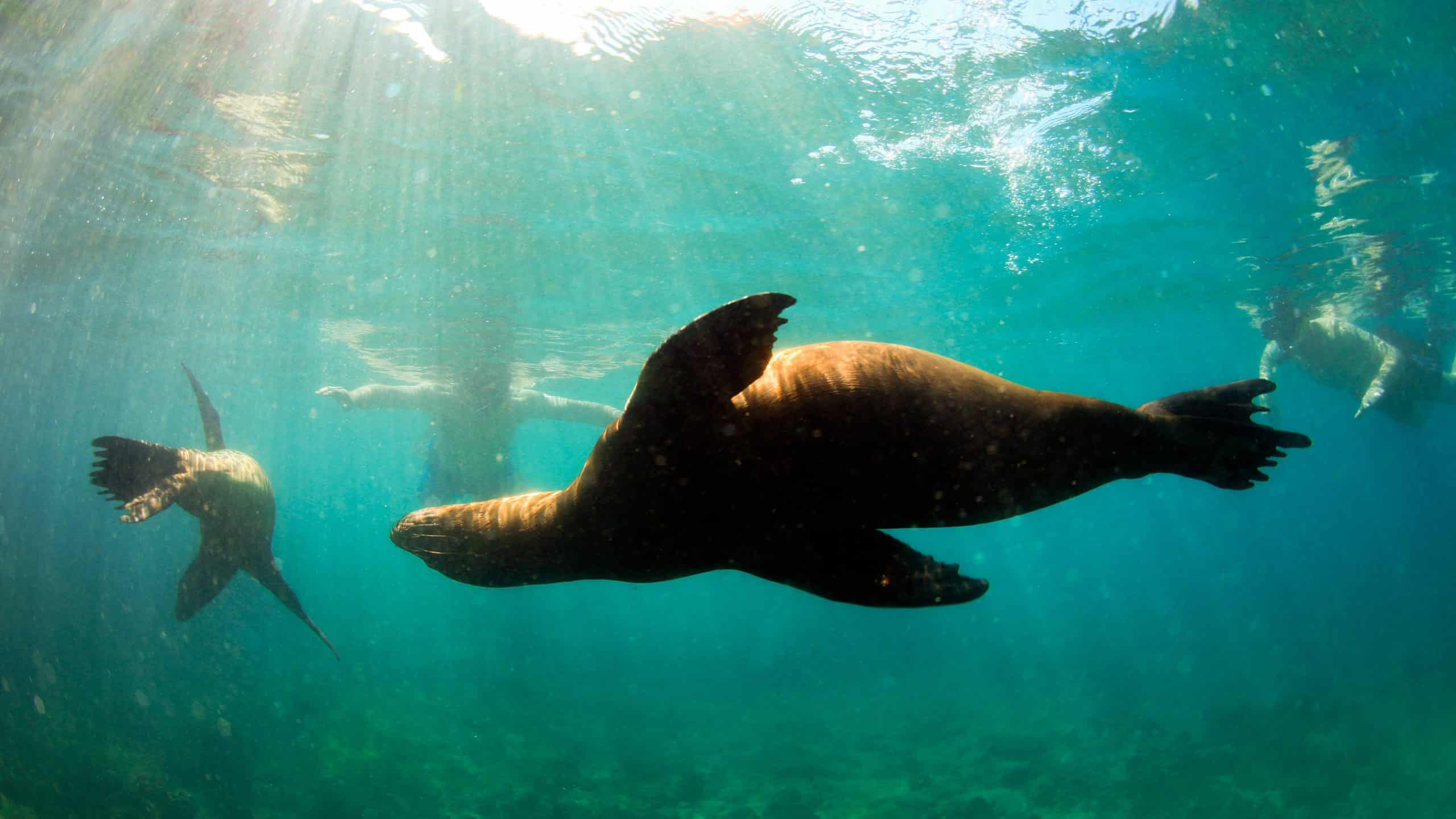 Best Galapagos Trips