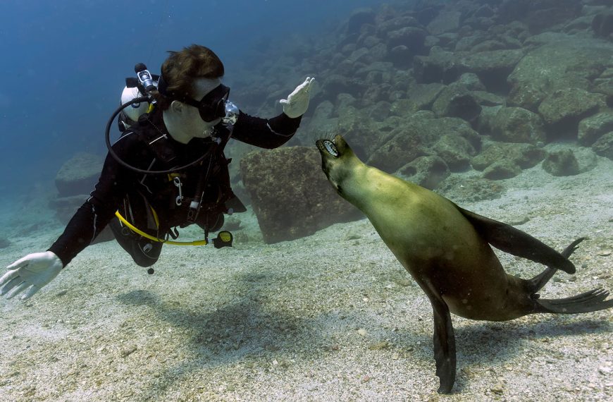 Galapagos cruises in March